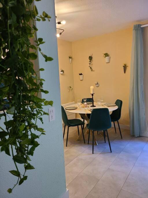 Joli Studio Renove Situe Au Pied Des Thermes Amélie-les-Bains-Palalda Kültér fotó
