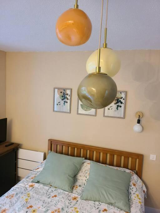 Joli Studio Renove Situe Au Pied Des Thermes Amélie-les-Bains-Palalda Kültér fotó